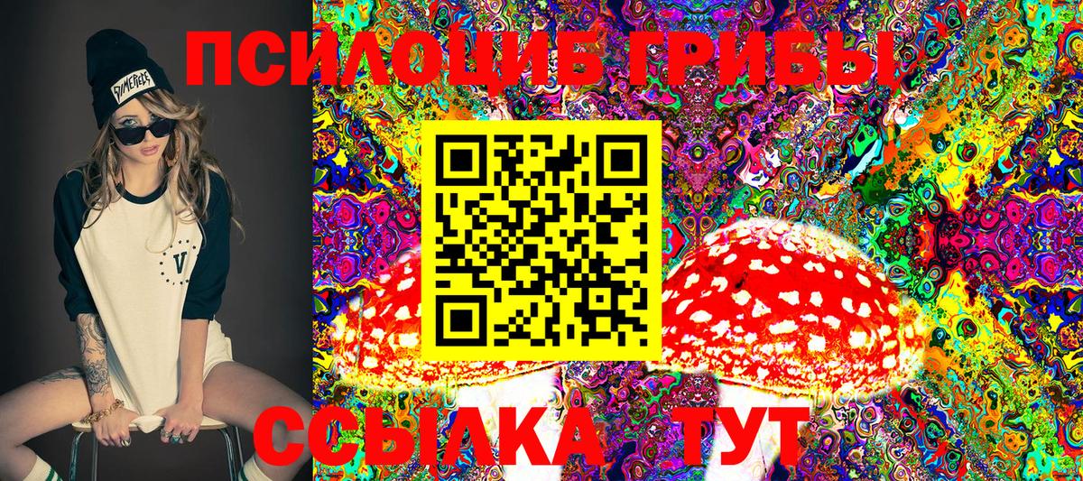 Псилоцибиновые грибы Cubensis Волгодонск